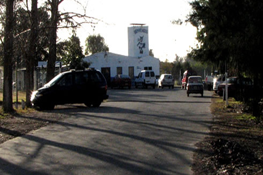 MEJORAS EN EL BOSQUECITO