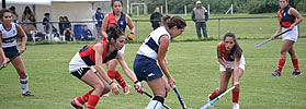 CAYERON FRENTE A TIGRE