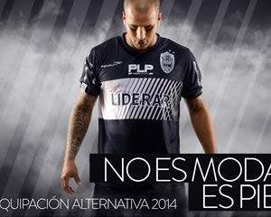 EQUIPACIÓN ALTERNATIVA 2014