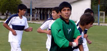 COSECHA IRREGULAR