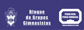 A DISPOSICIÓN DEL CLUB