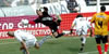 EMPATE EN EL BOSQUE