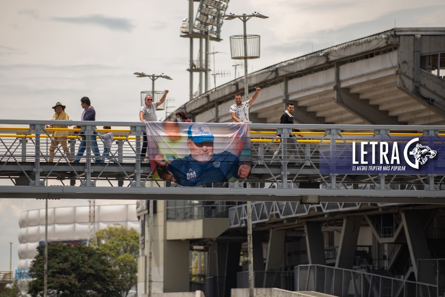 ¡LOBO EN COLOMBIA!