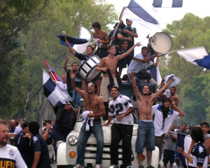 EN EL BOSQUE NO
