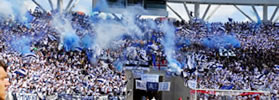 SOLO HINCHAS TRIPEROS