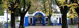 GIMNASIA INSTITUCIÓN