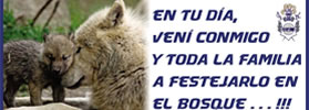 SÁBADO DE BOSQUE