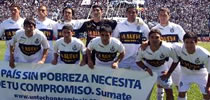 RINAUDO 4 X 4