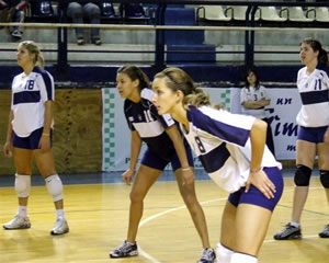 JUEGAN LAS LOBAS