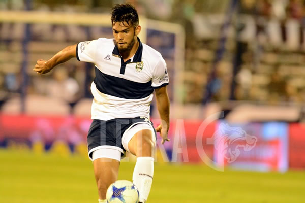 PLATA FRESCA POR ALDERETE