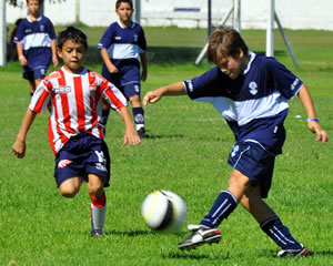 EL LOBO ARRASÓ CON TALLERES