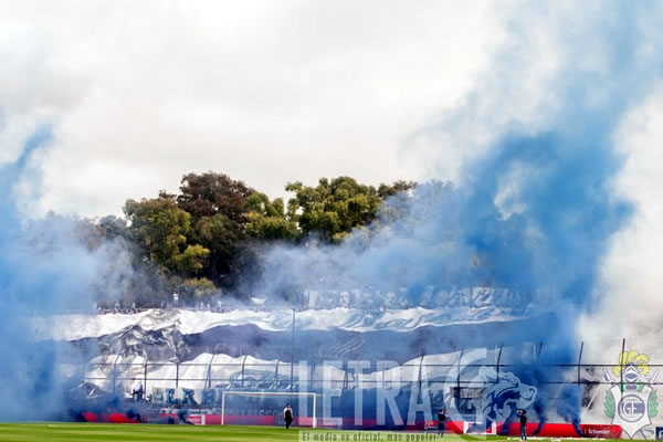 QUE SEA FIESTA EN EL BOSQUE