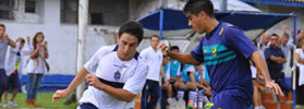 BUENA COSECHA ANTE EL HALCÓN
