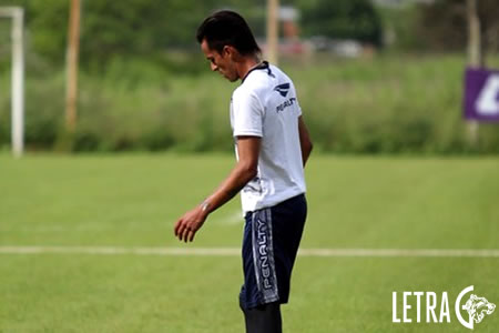 SE PERFILA LOBOS