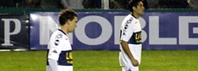 PREVISIBLE E INOFENSIVO