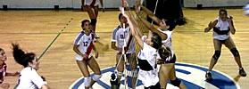 LAS LOBAS EN PLAY OFF