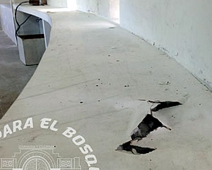 DENUNCIAS DE POR Y PARA EL BOSQUE