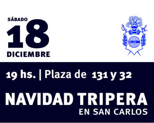 NAVIDAD AZUL Y BLANCA