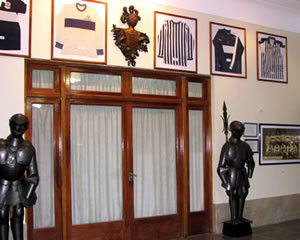 INSTITUCIONALIDAD