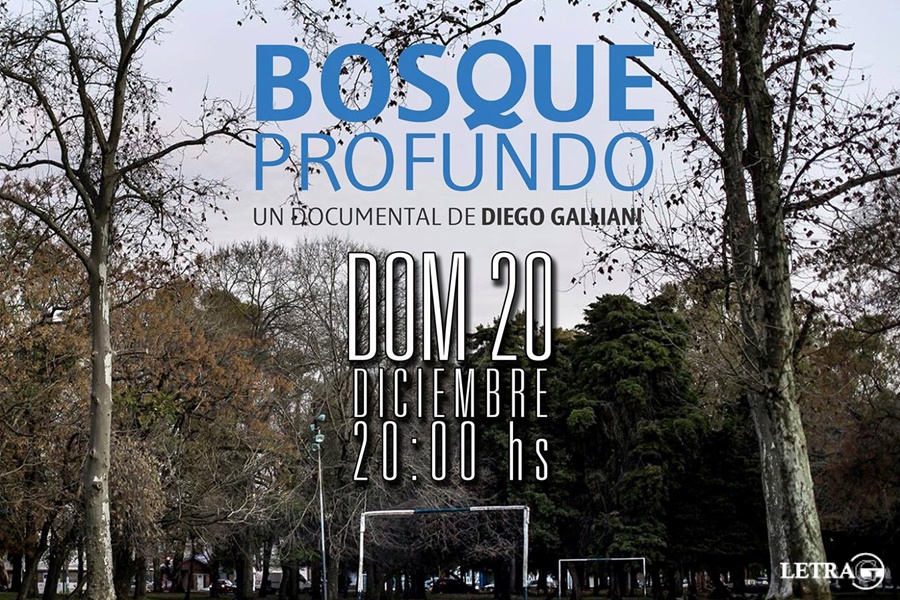 CINE DEL BOSQUE