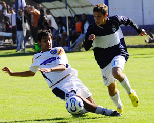 LOBOS Y TIGRES A MANO